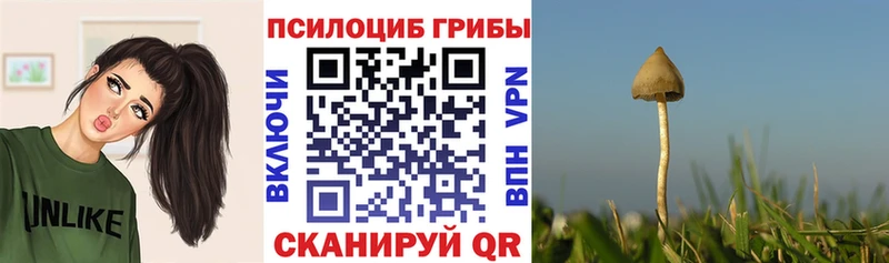 Галлюциногенные грибы GOLDEN TEACHER  цена   Куса 
