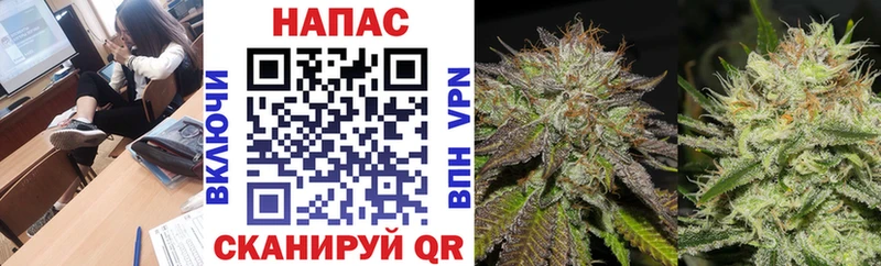 MEGA ONION  Куса  Бошки марихуана THC 21% 